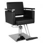 Professional Salon Barber Chair for Sale